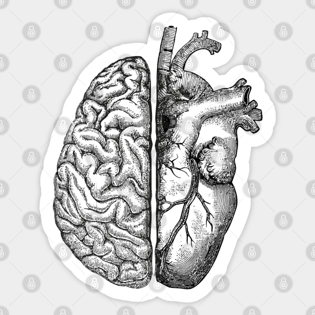 half brain half heart balance Sticker by Collagedream